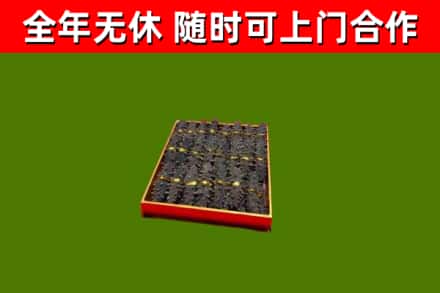 建始县回收海参